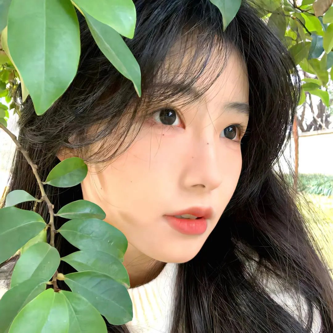 卡琳的面孔